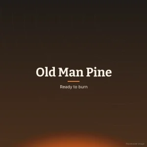 Old man pine firewood from farm shelter belts