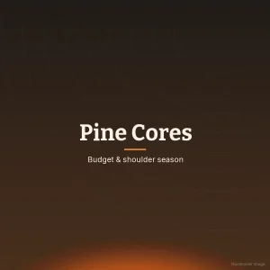 Dried pine core firewood rounds